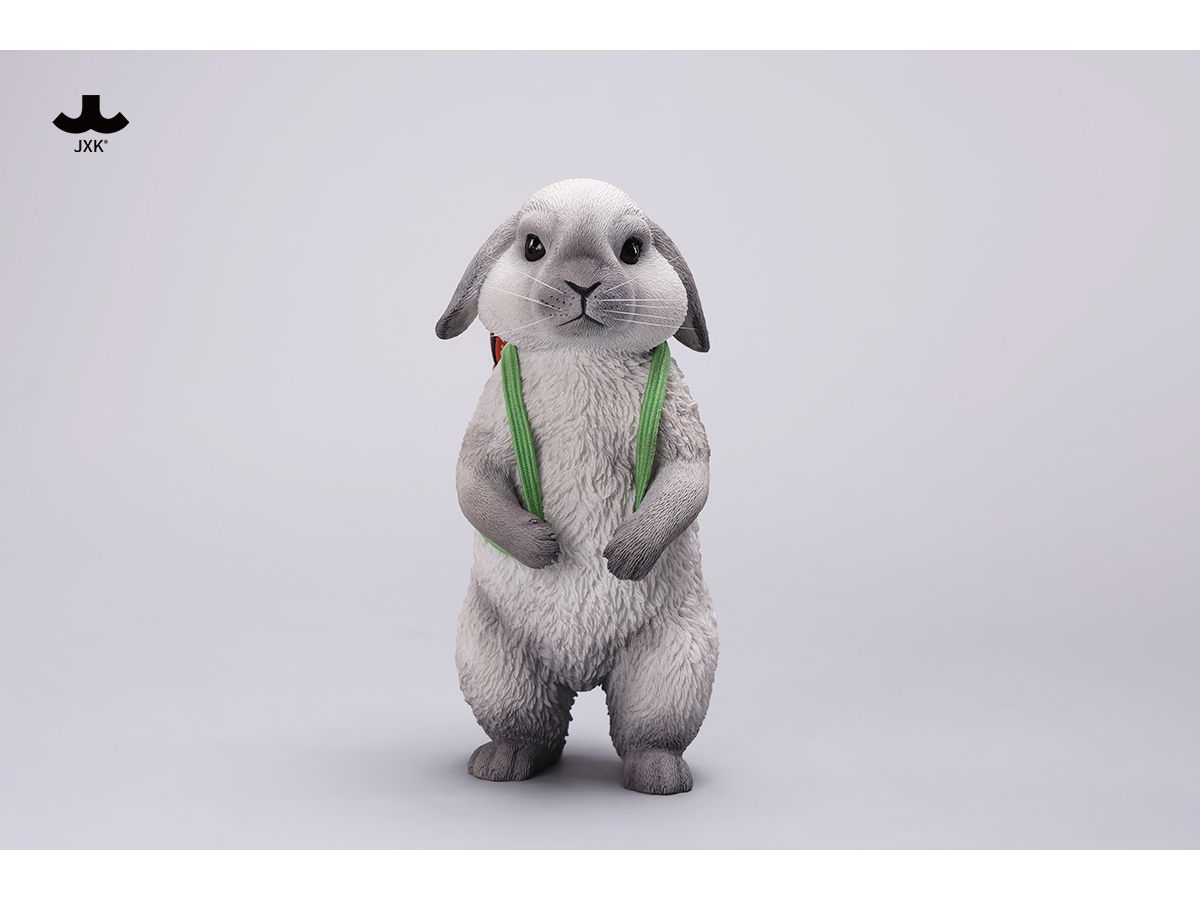 American Lop Rabbit D