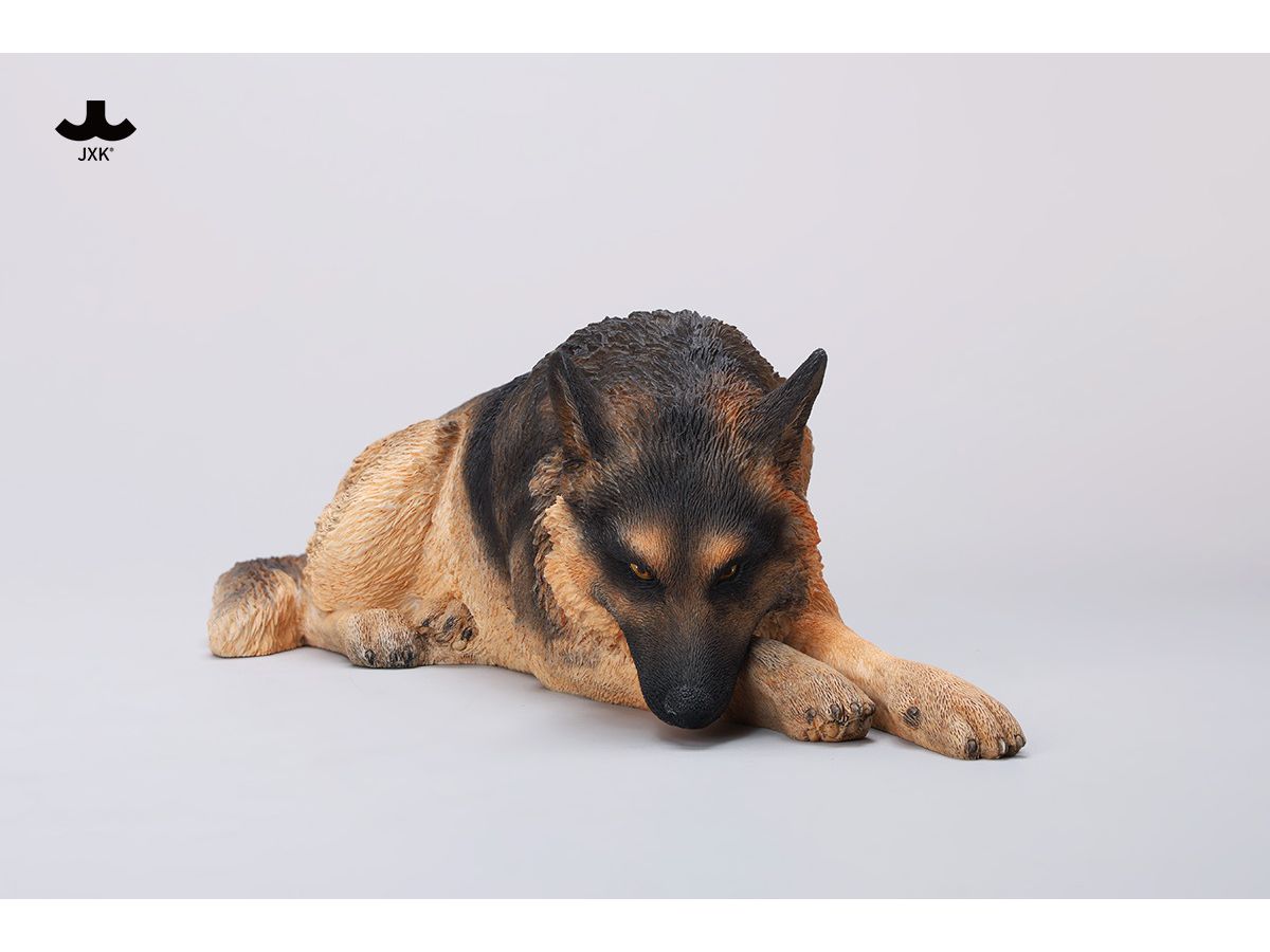 Lying German Shepherd A