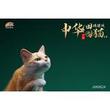 JXK-062A] Chinese Pastoral Cat Hunting Style A (Orange