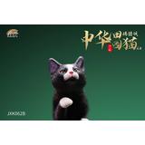 JXK-062B] Chinese Pastoral Cat Hunting Style B (Black) | HLJ.com