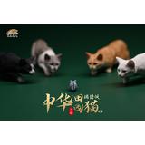 人気ブランドバ40代 Cat Pastoral Chinese JXK-062B] Hunting HLJ.com | (Black) B Style その他