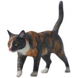 Cat C | HLJ.com