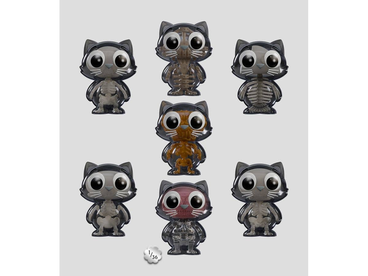 Catscans S2 Bare Bones 1Box 6pcs