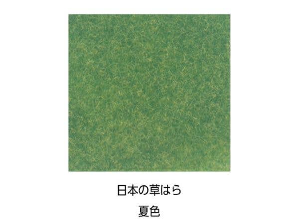Humid Wild Grass, Summer Color