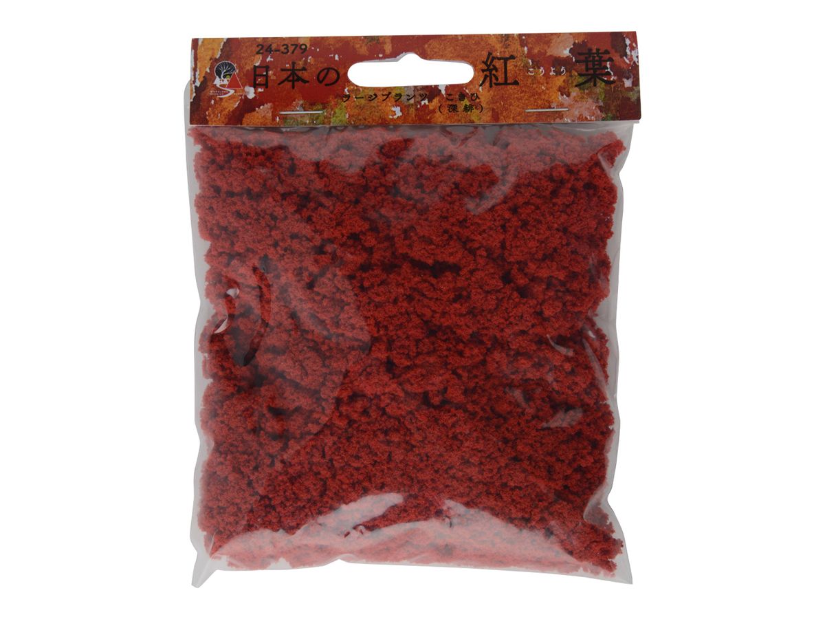 Japanese Autumn Leaf Large Plants (Deep Scarlet)