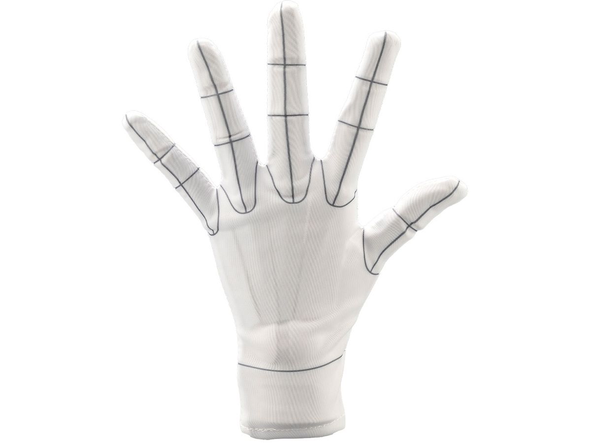 ARTIST SUPPORT ITEM Glove for Hand Model L -Wireframe-