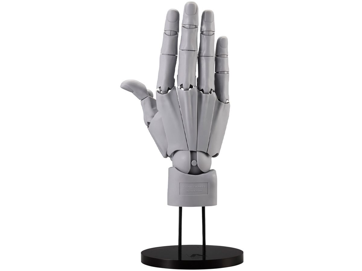 ARTIST SUPPORT ITEM Hand Model MEN'S/R -GRAY-