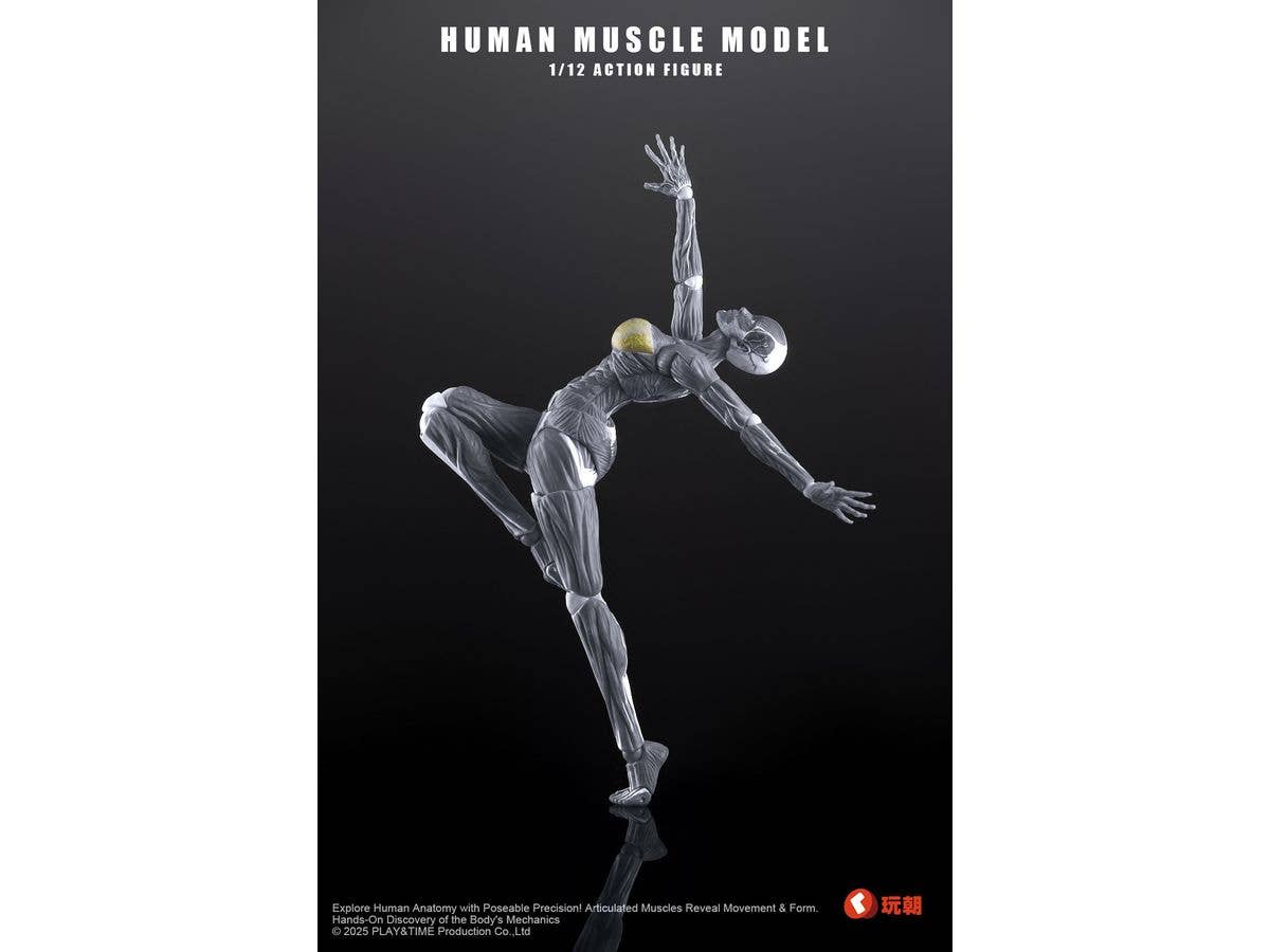 Human Muscle Model Action Figure Gray