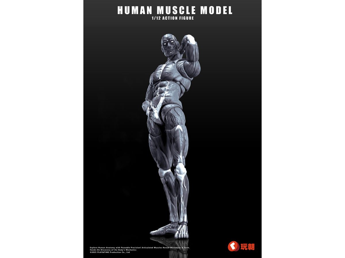 Human Muscle Model Action Figure Grey