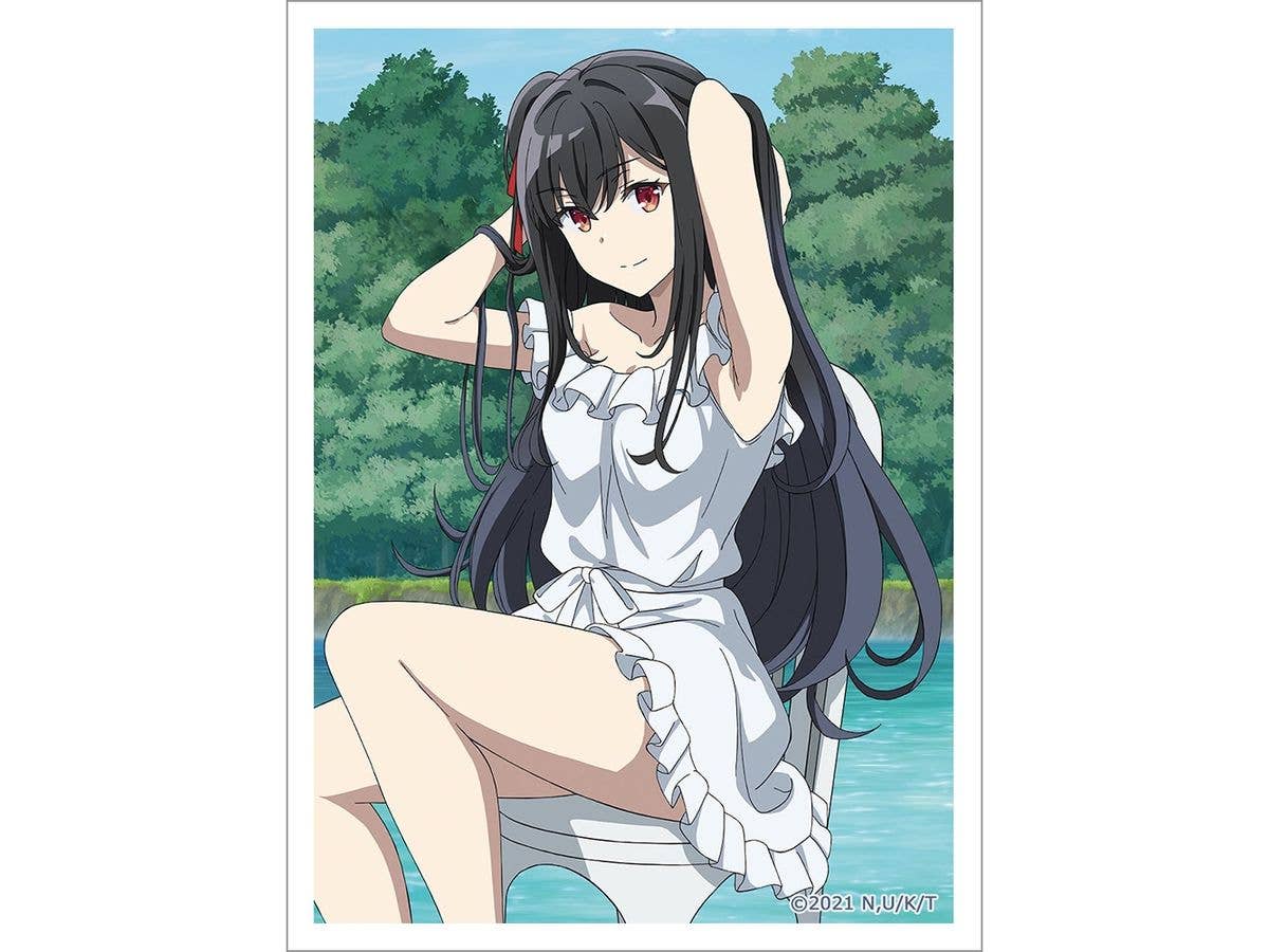 The Detective Is Already Dead Sleeve (Nagisa Natsunagi/  Iakeside)