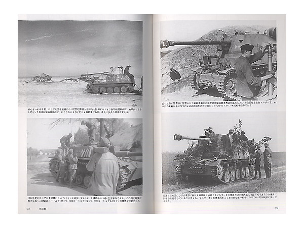 German Sturmgeschutz & Jagdpanzer