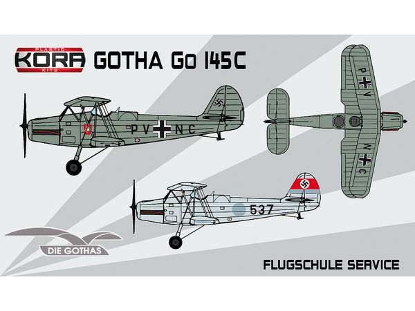 Go 145C Flugschule Service