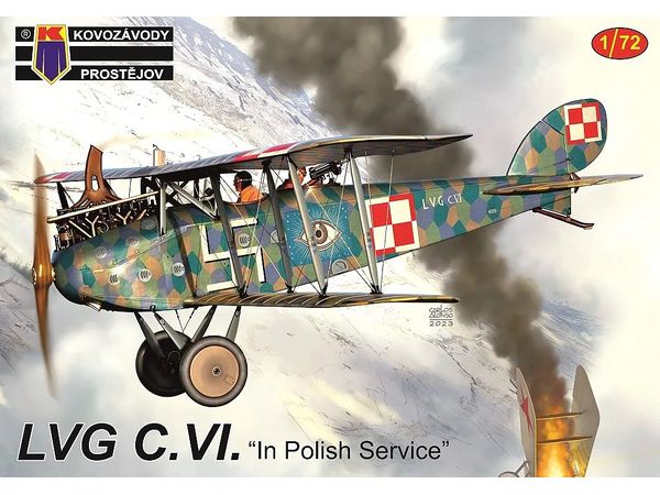 LVG C.VI. In Polish Services