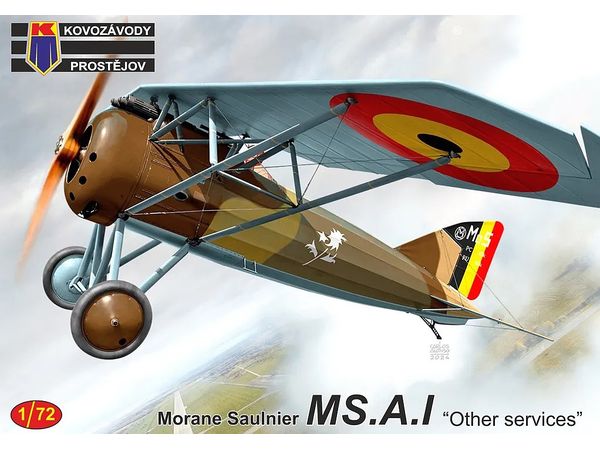 Morane Saulnier MS.A.I Other services