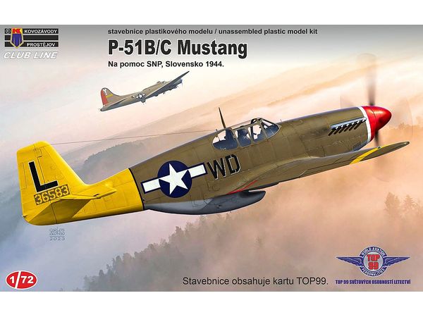 P-51B Slovak National Uprising Air Support