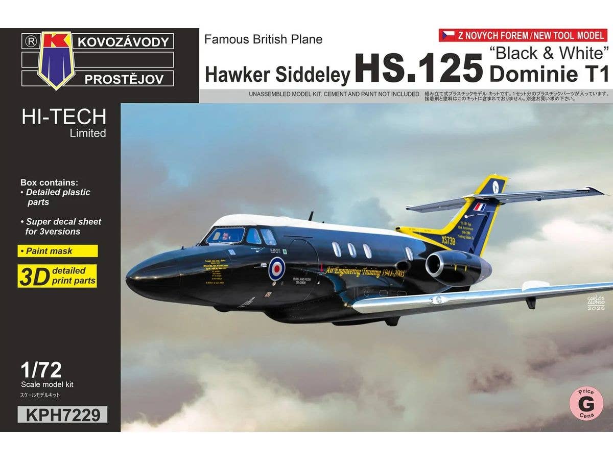 HS 125 Dominie T.1 'Black + White