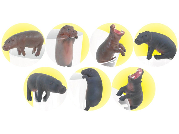 PUTITTO Pygmy Hippopotamus: 1Box (12pcs)