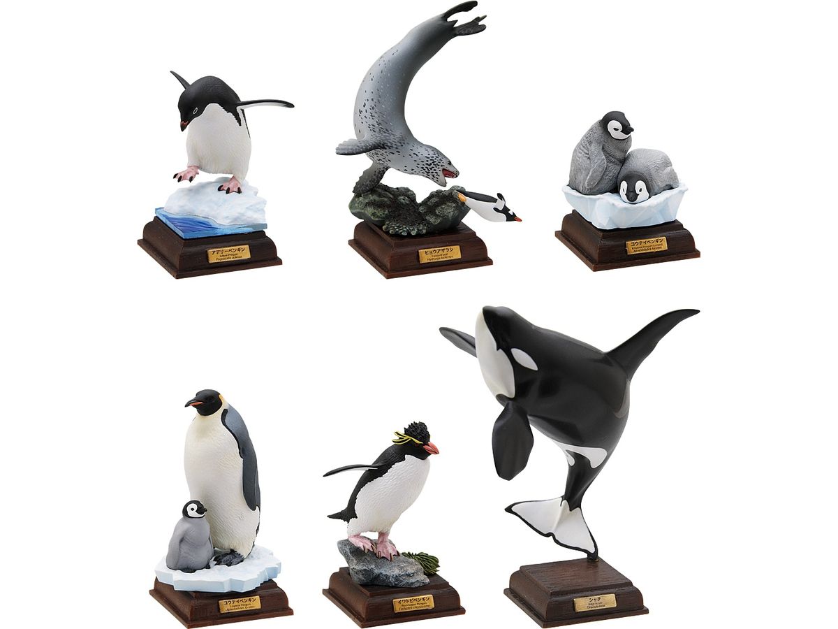 Nature Techni Colour Antarctica Special Edition: 1Box (6pcs)