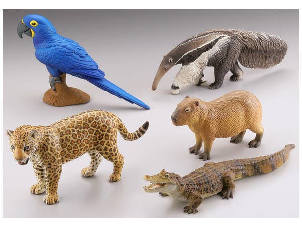 Capsule Q Museum WILD RUSH Shin History of World Animals II -South America & Amazon Arc- 1Box 12pcs