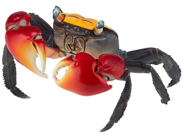 Revo Geo Chiromantes Haematocheir (Red-Clawed Crab)