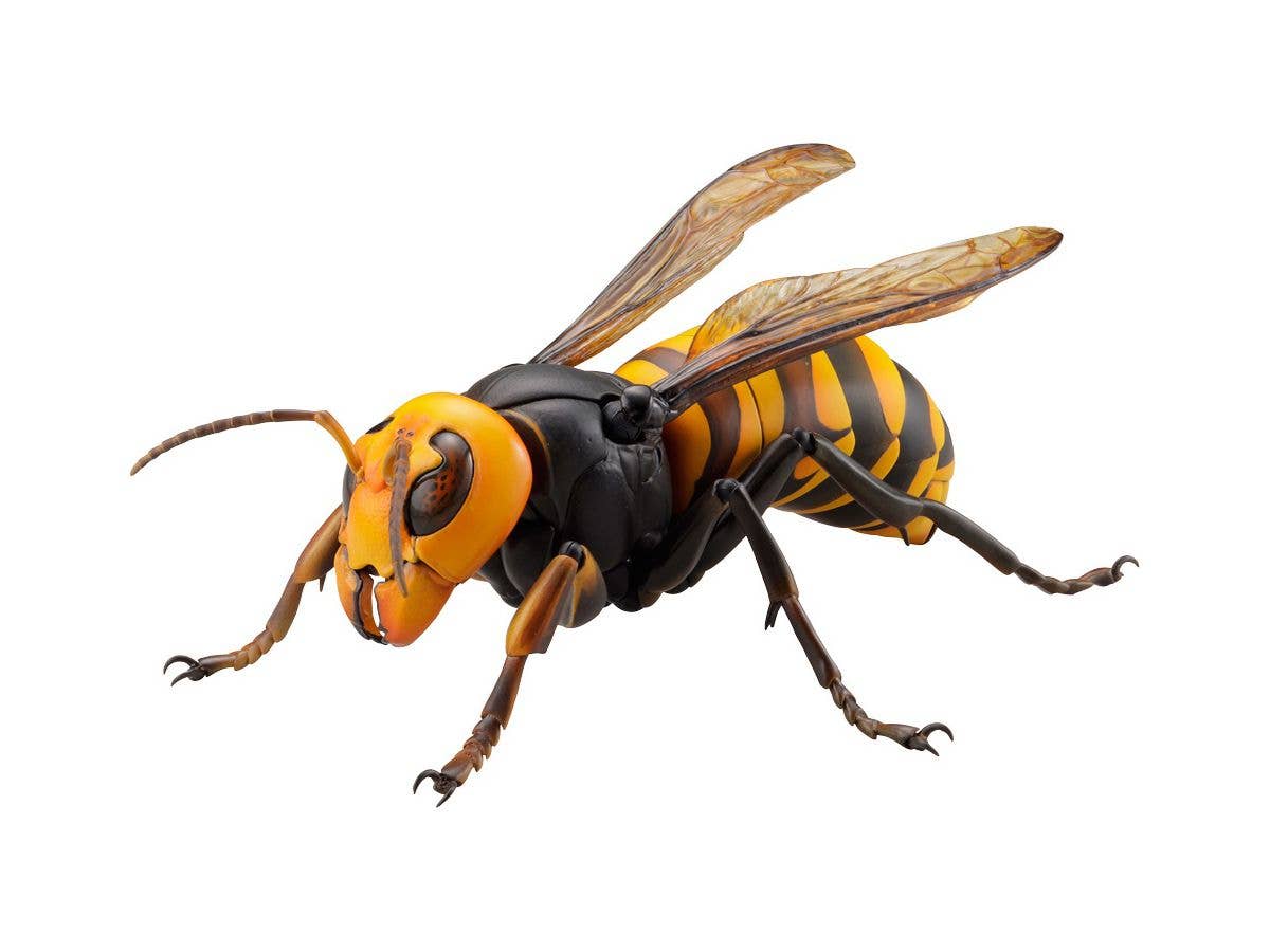 Revogeo Vespa Mandarinia (Asian Giant Hornet / "Murder Hornet")