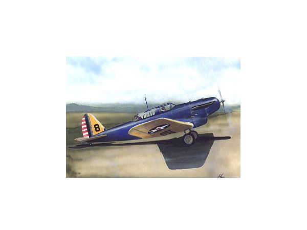 Consolidated A-11