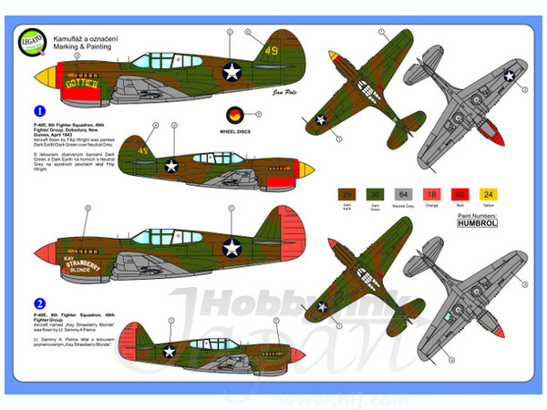 Curtiss P-40E Warhawk (USAAC)