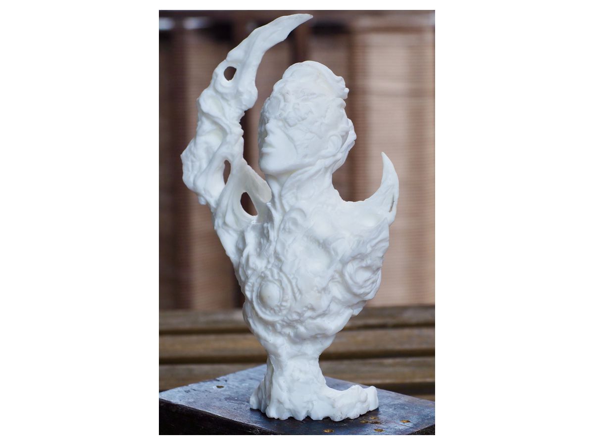 the Beautiful / Bizarre Ones tbbo.EX.001 a portrait of the moon White