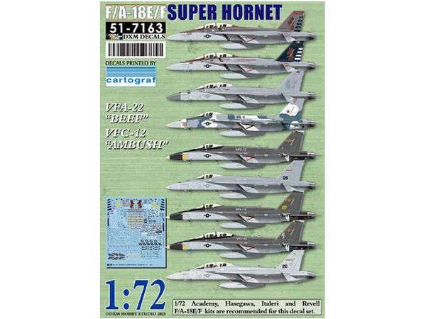 [51-7163] F/A-18E/F Super Hornet VFA-22 BEEF, VFC-22 AMBUSH
