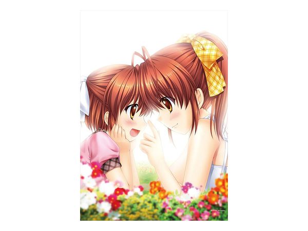 Clannad: B2 Tapestry C