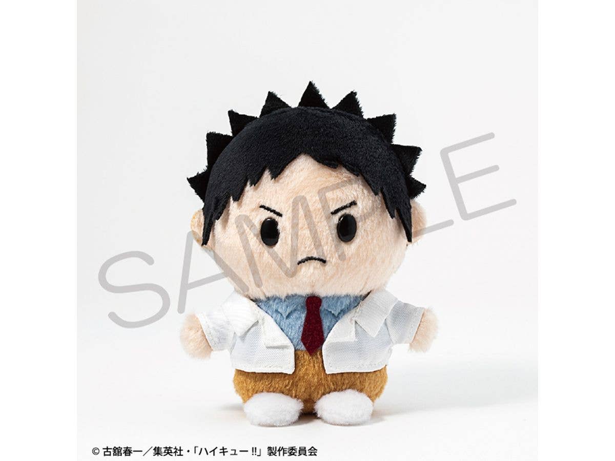 Haikyu!!: Payapayakko Plush Toy Hajime Iwaizumi