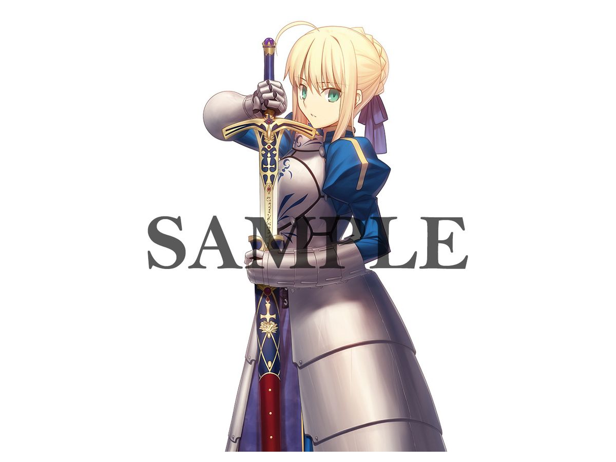 Fate / Stay Night: Takashi Takeuchi Illustration B2 Tapestry (Saber)