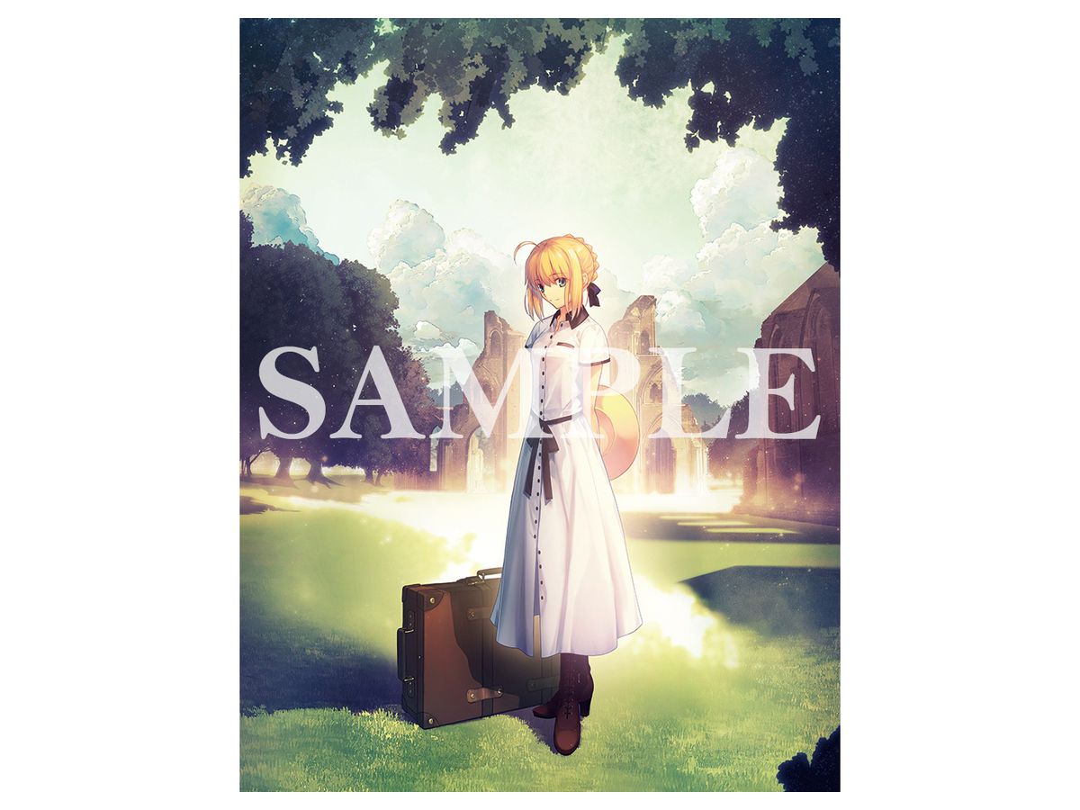 Fate / Stay Night: Takashi Takeuchi Illustration F6 Canvas Art (Saber)