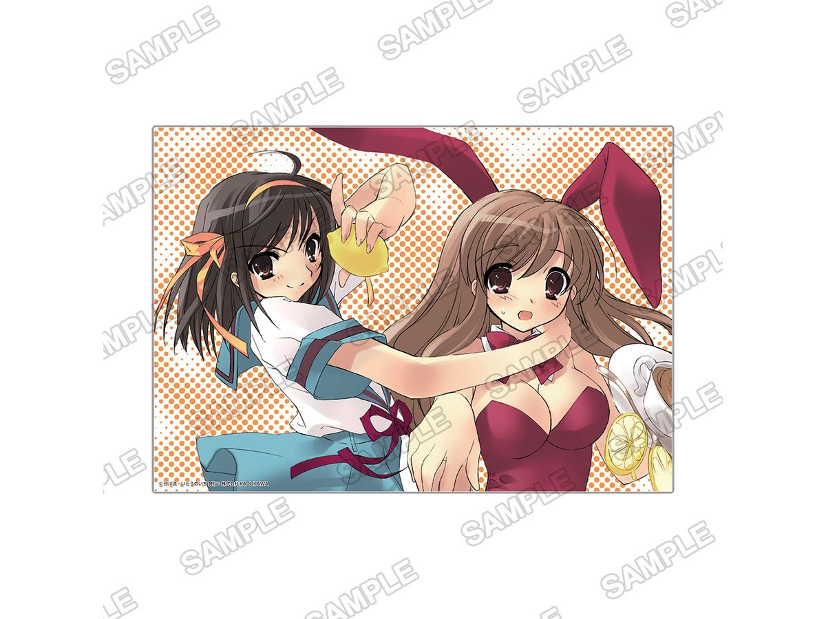 The Melancholy of Haruhi Suzumiya Series: A5 Acrylic Panel Haruhi & Mikuru