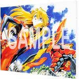 Neon Genesis Evangelion: Yoshiyuki Sadamoto F6 Canvas Art F | HLJ.com
