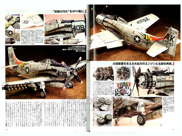 Zoukeimura SWS Chronicle