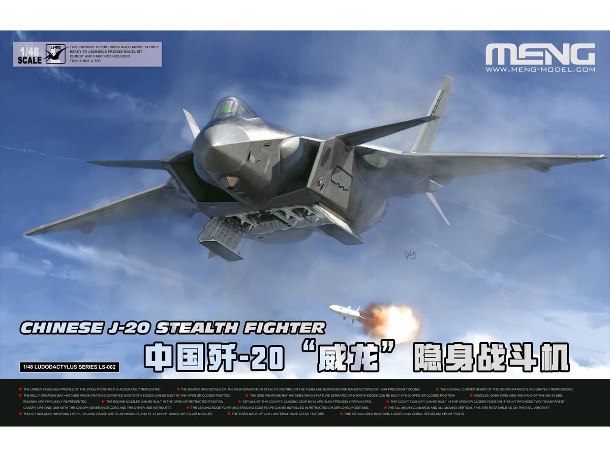 Chinese J-20 Stealth Fighter