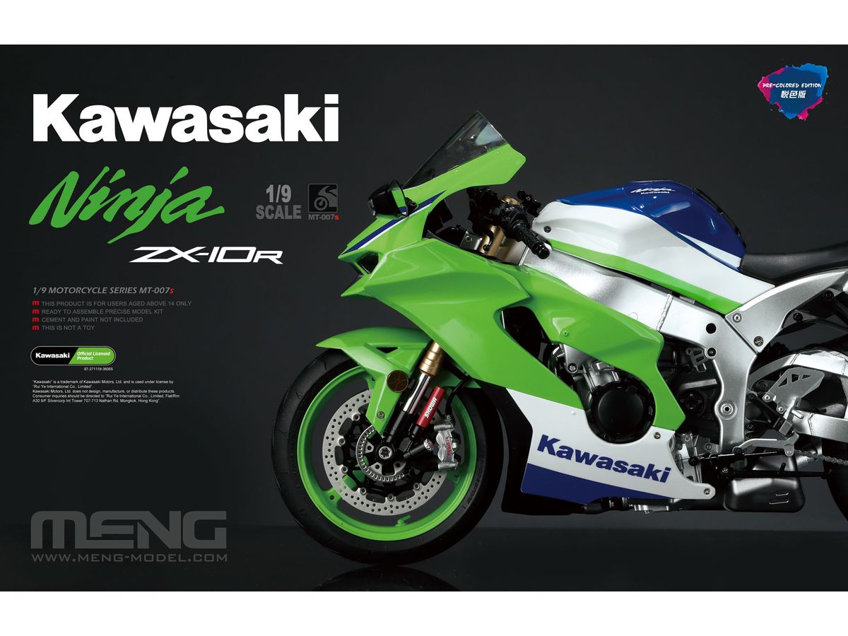 Kawasaki Ninja ZX-10R (painted)