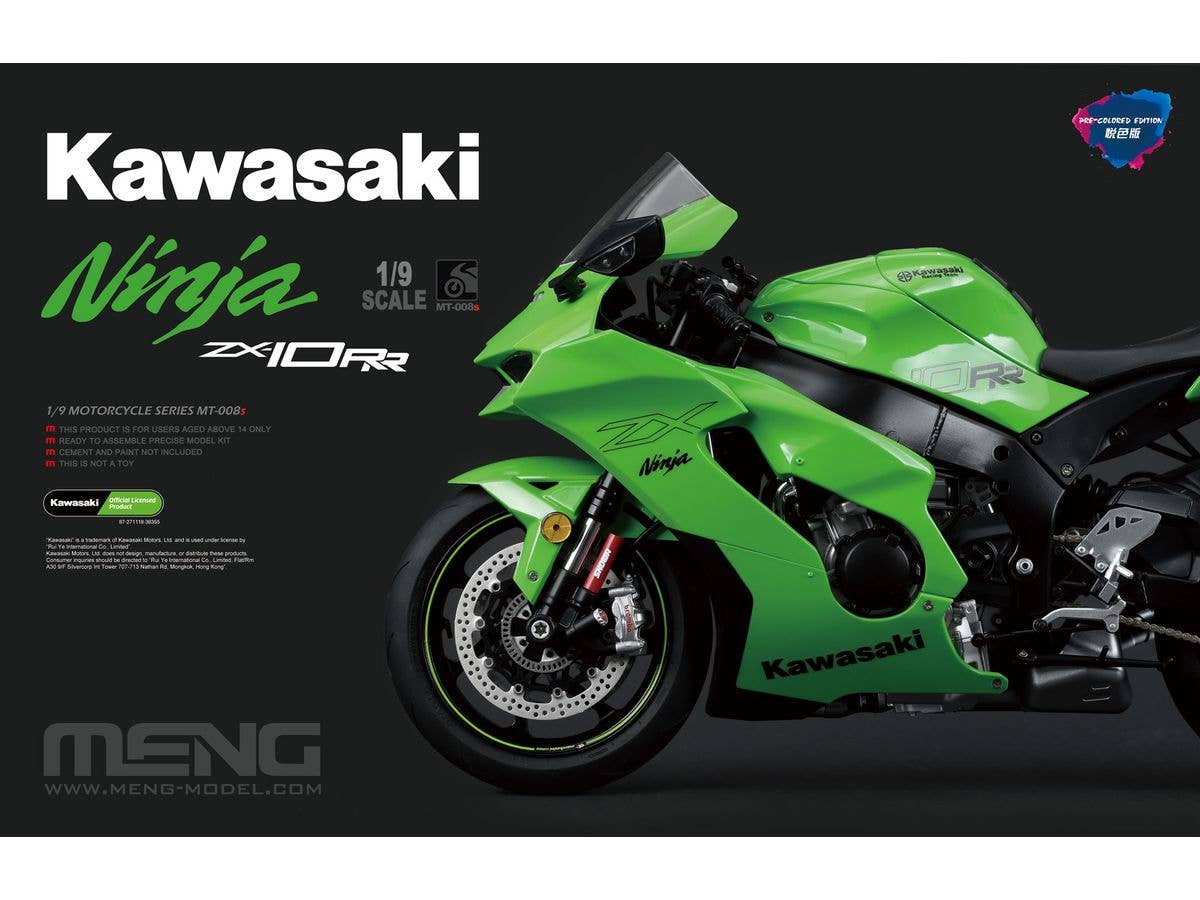 Kawasaki Ninja ZX-10RR (painted version)