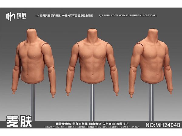 Muscular Male Body (Upper Body) / Asian Tan Skin