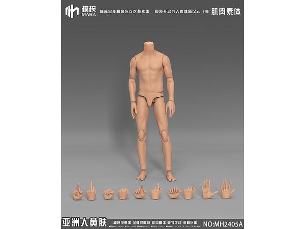 Muscular Male Body / Asian Yellow Skin