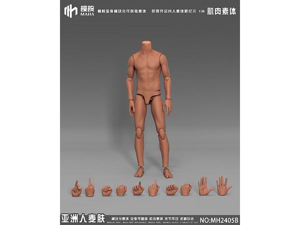 Muscular Male Body / Asian Tan Skin