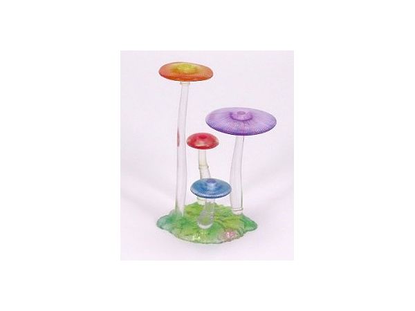 Dream Mushroom Colorful
