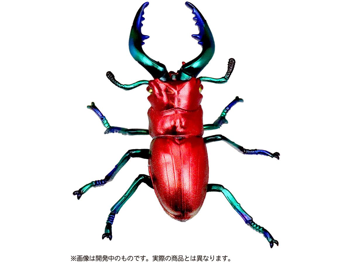Puripura Mugen Museum Phantsmal Prosopocoilus inclinatus Ruby