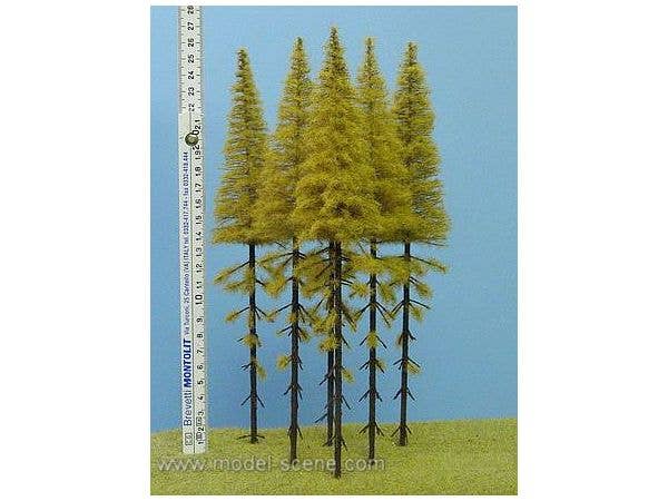 Pruned Larch Autumn Height 230-270mm (5pcs)