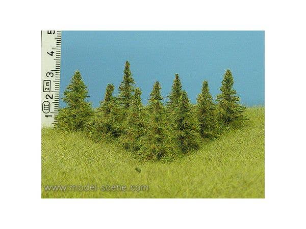 Larch Height 25-35mm (8pcs)
