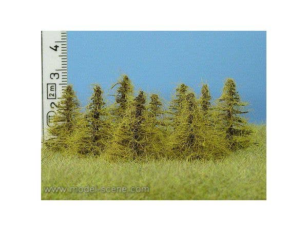 Larch Autumn Height 25-35mm (8pcs)