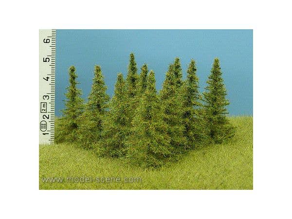 Larch Height 65-80mm (7pcs)