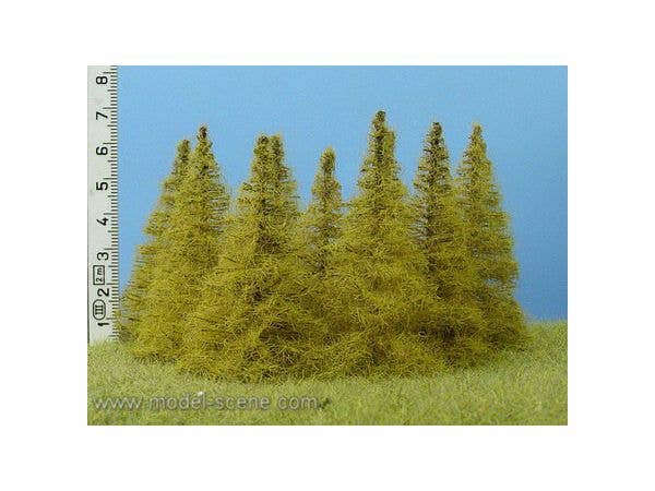 Larch Autumn Height 65-80mm (7pcs)