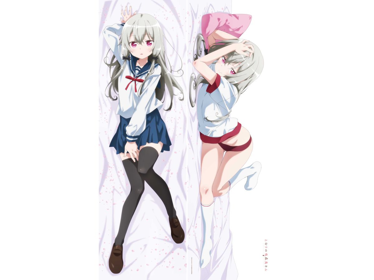 Ms. Vampire who lives in my neighborhood.: [Newly Drawn] Premium Dakimakura Cover Sophie (Uniform & Gym Clothes)